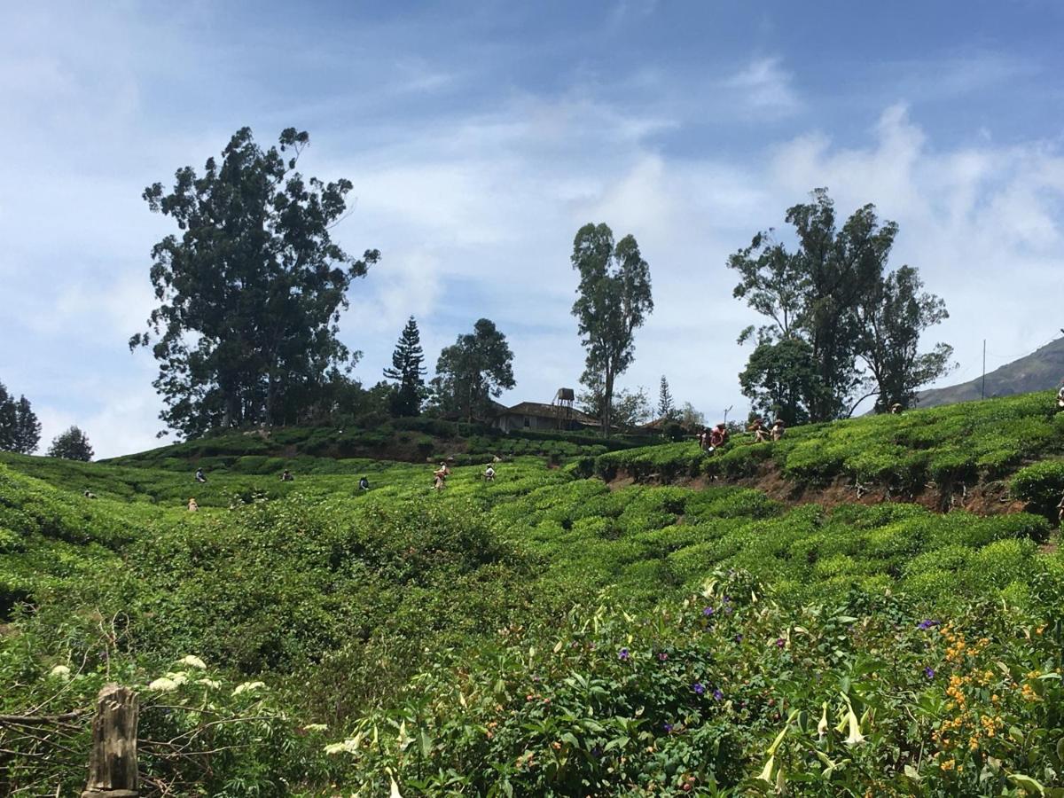 Golden Green Hotel Munnar Exterior photo